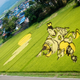 Illustration for article titled Behold These Incredible Artworks Grown from a Rice Field in Japan